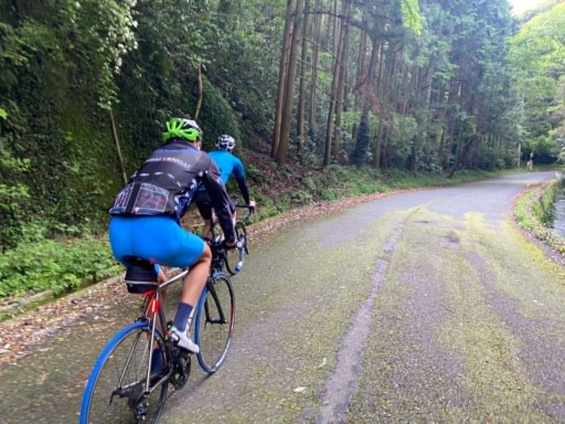 Shimoda / Cape Irozaki Southern Coastal Loop